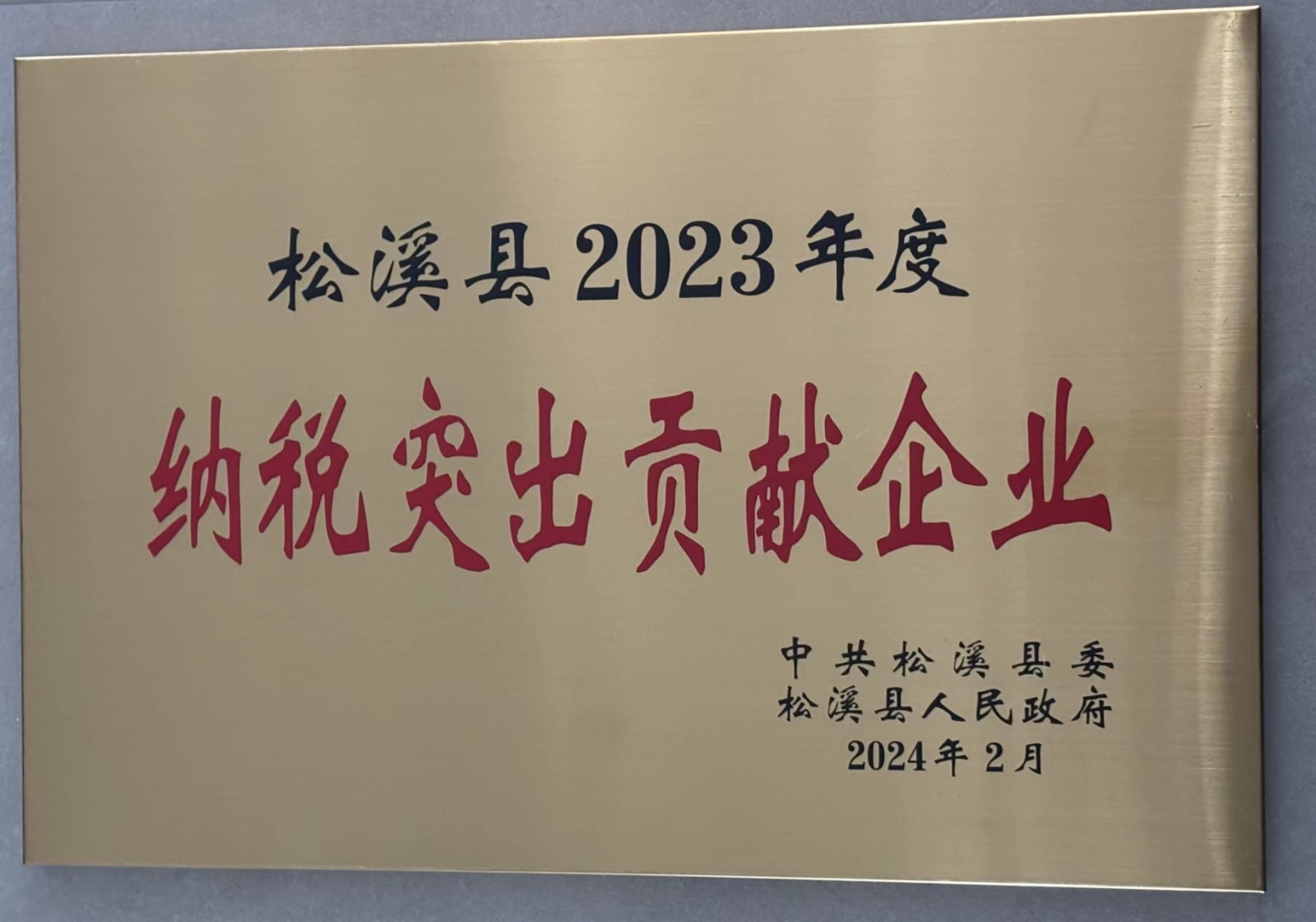 喜報！易順建工集團榮獲“松溪縣2023年度納稅突出貢獻企業(yè)”稱(chēng)號